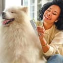 Dog and Cat Grooming Comb for Removes Tangles