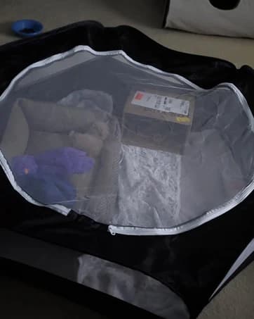Small Animal Playpen — Waterproof Foldable Pet Playpen — collection imagery