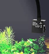Battery Powered Aquarium Air Pump — collection imagery