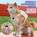Dog Backpack for Small Dogs to Wear