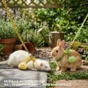 2PCS Ferret Harness and Leash — Adjustable Guinea Pig Harness