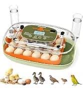 Chick Brooder Heater Plate for Baby Chicks — collection imagery