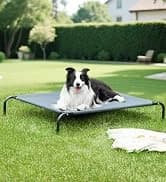 Dog Stairs for High Bed, Foldable Pet Stairs for Small and Medium or Large Dogs Puppy with Storage for Bed or — collection imagery
