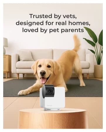 Cam 360 – Wi-Fi Pan-Tilt Pet Security Camera with App — collection imagery