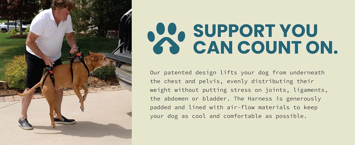 Dog Lift Harness — Full Support — product details