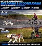 Dog Bike Leash — Shock-Absorbing Bikejoring Leash with Antenna for M/Large Dogs — collection imagery