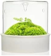 Aquarium and Terrarium Light Full Spectrum LED — collection imagery