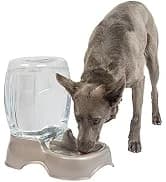 Vari Dog Kennel — Carrier for Large Dogs — collection imagery
