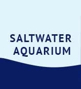 Freshwater Master Test Kit 800-Test Freshwater Aquarium Water Kit — collection imagery