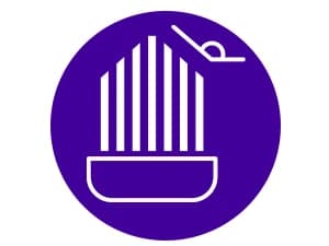 Professional Pet Toothbrush — 45° Cats + Dogs — 45 Degree Angled Bristles
