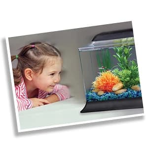 Freshwater Master Test Kit 800-Test Freshwater Aquarium Water Kit — Making a Better Underwater World