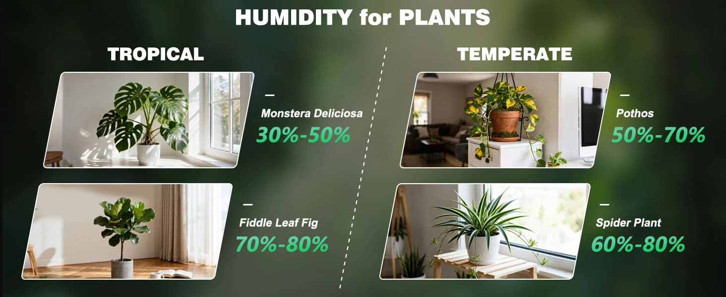 Reptile Fogger Humidifier — Automatic Humidifiers for Reptiles Tank — product details