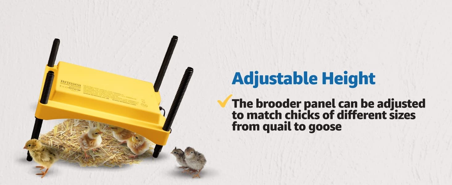 Ecoglow Safety 600 Chick or Duckling Brooder — collection imagery