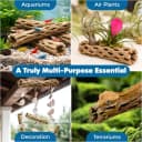 3 Pack Shrimp Cholla Wood — Aquarium Driftwood Decor for Fish Tank Setup