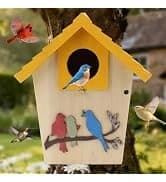 Bird Houses for Outside Real Wood-Look Resin Bird House with Hanging Chain – Waterproof and Durable Forest — collection imagery
