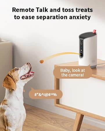 2K Pet Camera Treat Dispenser — collection imagery