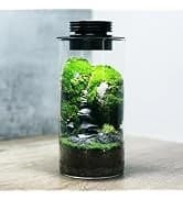 Aquarium and Terrarium Light Full Spectrum LED — collection imagery