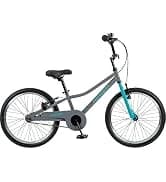 Rover Waggin' Pet and Dog Bike Trailer with Weather-Resistant Canopy and Mesh Shield - Foldable Frame — collection imagery