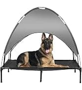 Large Dog House Outdoor — 36in Elevated 2-in-1 Cot and Canopy — collection imagery