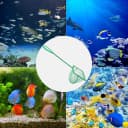 5 Pack Aquarium Fish Net, Multi-Size Fine Quick Fish Catch Nets Nylon Fishing Mesh Nets with Long Plastic