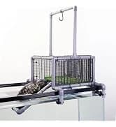 Extra Large Turtle Basking Platform with Artificial Grass — collection imagery