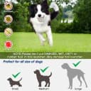 Automatic Ball Launcher for Dogs Large- 3 Distance Settings (40/60/80FT) w/Remote Control | 2.5" ETPU Tennis