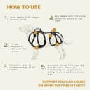 Dog Lift Harness — Full Support