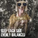 Dog Backpack for Medium and Large Dogs