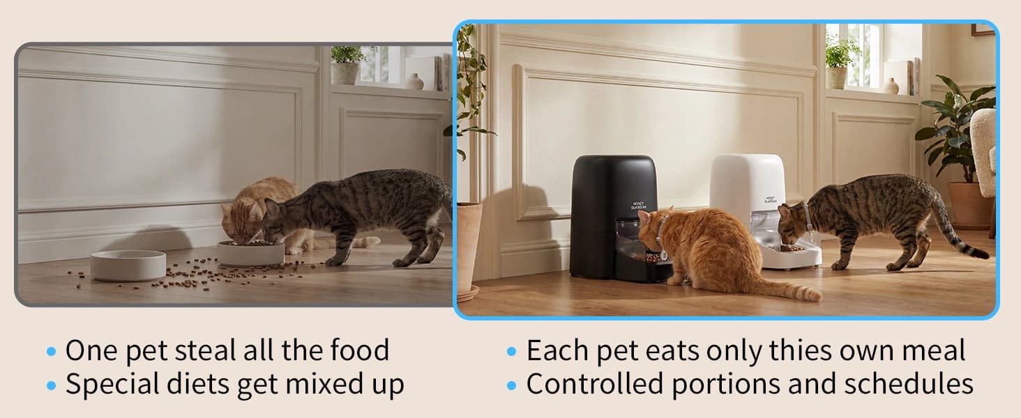 RFID Automatic Cat Feeder — Collar Tag for Personalized Meal — product details
