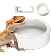 Reptile Food Dish Bowl — 2Pcs Lizard Gecko Worm Water Bowls Small (2.75in) — collection imagery