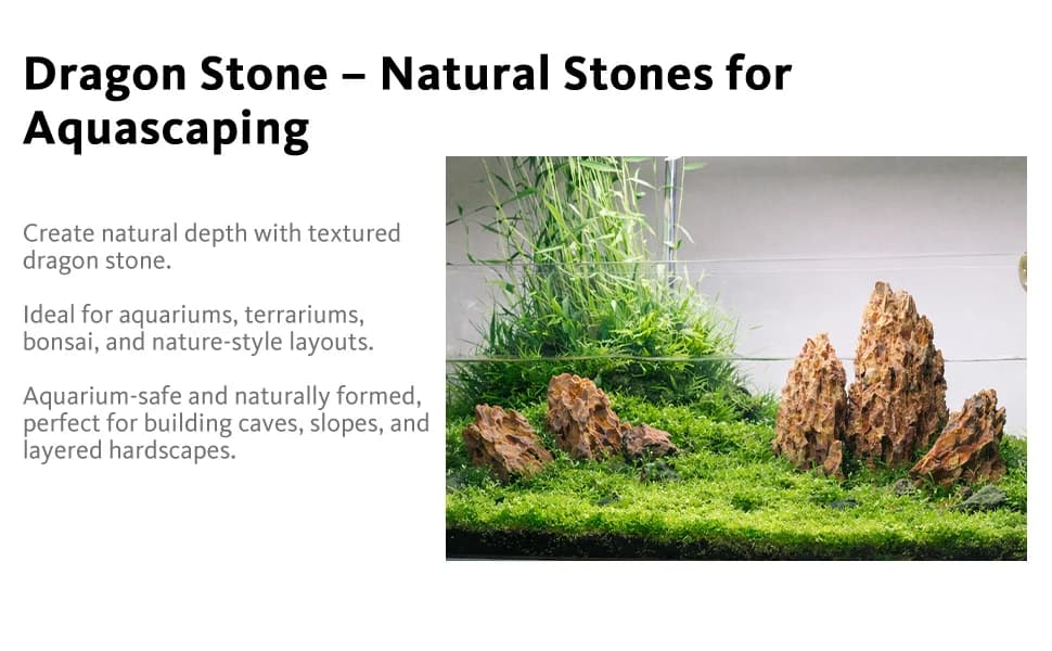 6.1-8.1 Inches Natural Dragon Stone — product details