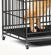 48'' Heavy Duty Dog Crates for Large Dogs — collection imagery