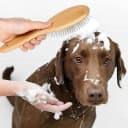 Stainless Steel Pin Dog Brush