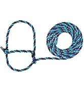 Nylon Horse Halter — Average Horse — collection imagery