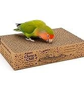 Parrot Chew Toy — Shreddable Cardboard Bird Platform — collection imagery
