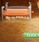 Smart Chicken Coop Heater — 200W Radiant Heat Panel with Temperature Sensor — collection imagery