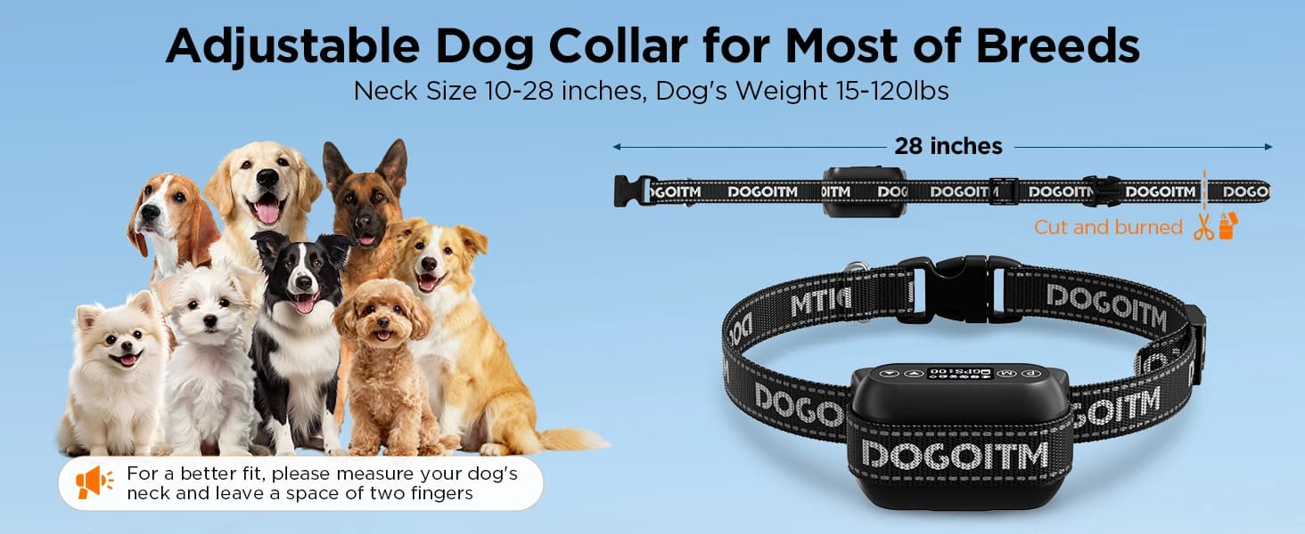 GPS Wireless Dog Fence — No Subscription Dog Collar for Dogs 15Lbs+ — collection imagery