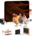 Smart Chicken Coop Heater — 200W Radiant Heat Panel with Temperature Sensor