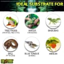 Coco Husk Brick — 8 QT (8.8 L) – Natural Coconut Fiber Terrarium Substrate for Reptiles