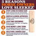 10 Inch Horse Brush – Horse Shedding Blade Made in USA - Removes Loose Hair and Undercoat - Deshedding Tool for