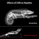 16-Inch LED UVB Reptile Light with Auto On/Off and Preset Day-Night Cycle Dimming