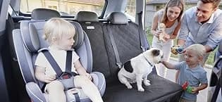 Dog Car Door Protector 2-Pack — collection imagery