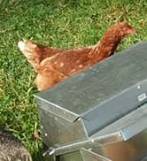 Grandpas Feeders Automatic Chicken Feeder - 20 lbs No Waste Poultry Feeder — collection imagery