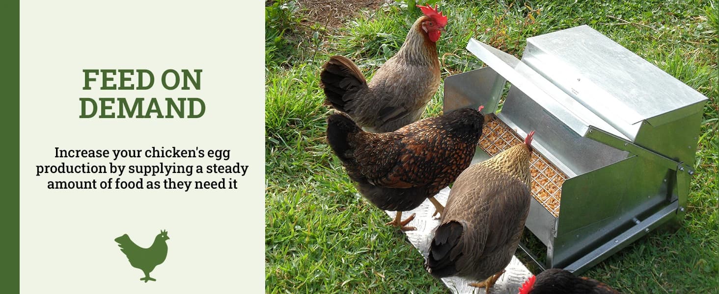 Grandpas Feeders Automatic Chicken Feeder - 20 lbs No Waste Poultry Feeder — collection imagery