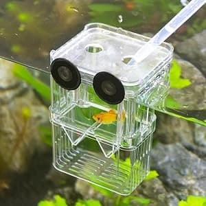 Aquarium Fish Breeder Box Plastic Fish Isolation Breeding Box Hatching Incubator Box for Baby Fishes Shrimp — collection imagery