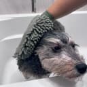 Clean Paws Chenille Microfiber Dog Towel Mitt - Super Absorbent