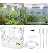 Aquarium Fish Breeder Box Plastic Fish Isolation Breeding Box Hatching Incubator Box for Baby Fishes Shrimp — collection imagery