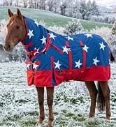 1200D Waterproof Winter Turnout Horse Blanket — collection imagery