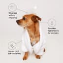 Fur Bébé Pet Shampoo - Mercer Street Scent (16 Fl oz)