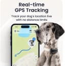 XL Smart Dog GPS Tracker | Live Pet Tracker with Virtual Fence | Vital Signs Monitoring of Heart and